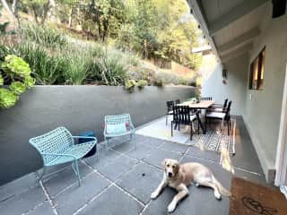 Back patio that is gated with an area outside the main bedroom that has astro turf. Unfortunately the hilly yard is full of foxtail.