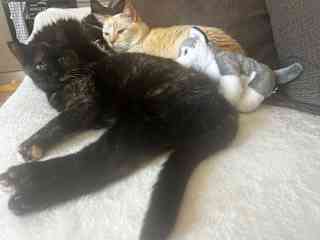 and cuddling up with the boys