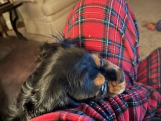 Cozy, warm, and loved