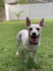 The cutest smile :)