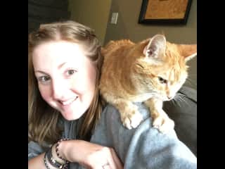 Gingey loved to sit on people’s shoulders !  She was my ‘failed’ foster, we spent 10 years together .