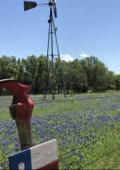 Willow City Loop
Texas Hill Country