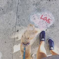 Me walking one of my previous foster dogs, Lola, in NYC