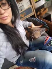 House sitting & enjoying some cuddles with Shadow