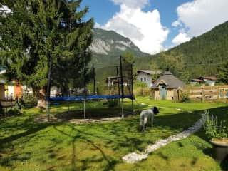 fenced garden with trampoline