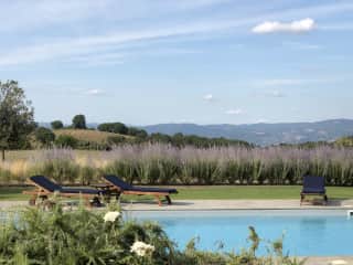 The pool