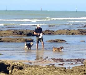 House sitting and looking after the adorable Max & Rosie in Chiclana. Here's Rich with them at Sancti Petri