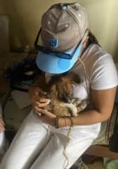 helping out in a dog rescue centre in ghana
