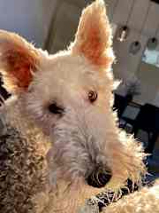 I love a rub and I will watch you until you rub me