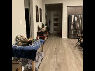 Hallway looking at front door