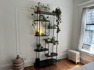 Plant stand in bedroom