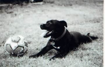 Maxi and football!