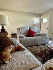 Living room pic w/Betty on couch.