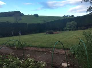 Garden and view