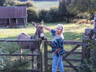 Meeting Darra the donkey in France