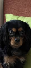 Sweet face