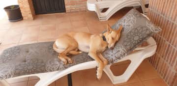 She loves this chair