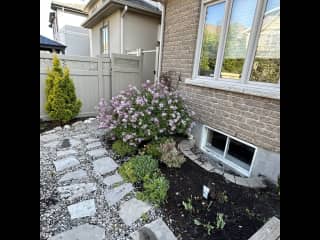 View of the backyard