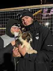Visiting the local dog mushers in Svalbard. (Greendog)