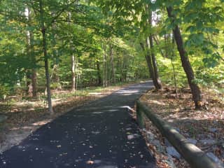 Bicycle and walking path