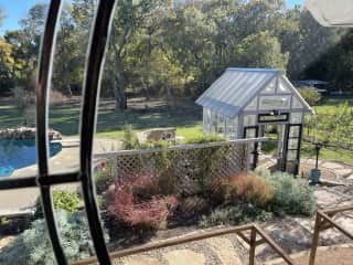 Greenhouse in backyard.
