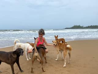 Flora, Tomtom, Bella, Pedro, our dogs friends who live on the beach. Behind Vesino and Bojo & Blackie when I pet sit for them.