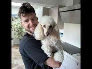 Sunny the mini poodle.
