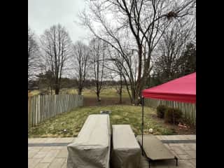 Backyard backing on to park