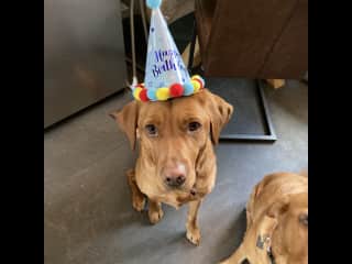 Happy birthday Jackman