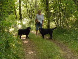 Summer in the Dordogne… 2013