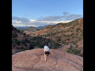 Queen of the rock!