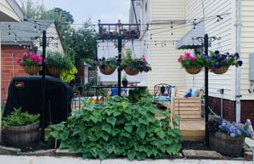 Our little urban oasis. Flowers and veggies galore in the summer!