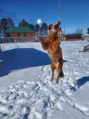 Catching a snow ball