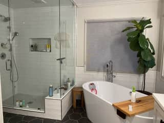 Jetted tub and steam shower