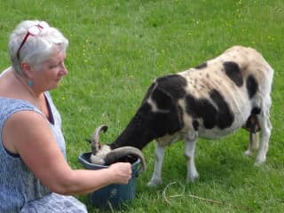 New mum needs extra feed