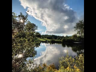 View from the pond