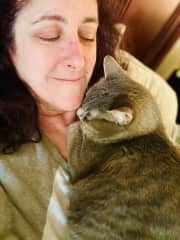 Miss Pixi another snuggly kitty