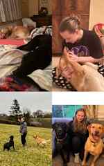 Cuddling and playing with Ben & Henry in a beautiful big Cabin in London!