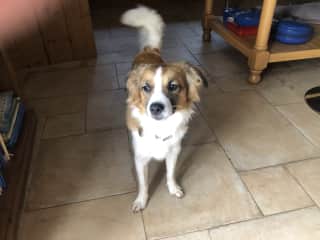 Hello Tayo!