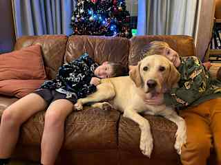 House sit in West Byfleet (Monty)