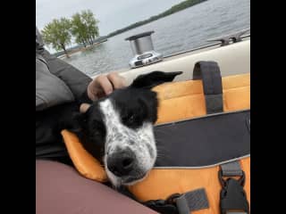 We’ve taken him on our sailboats a couple times and he just sleeps