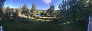 pond and canal running through property.