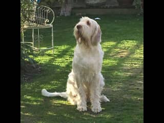 This Is Mabel when she was a bit younger.