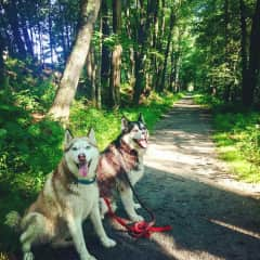 Jack and Penny on a nearby walking trail, Heads Pond