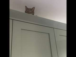I look down on you