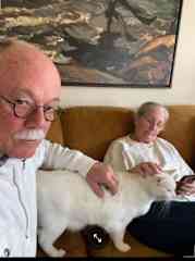 Taking care of Bo