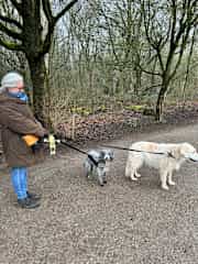Me and a friend taking mum on a walk.