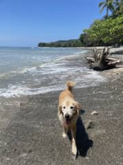 The beach is 5 min walk away!