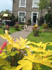 Path from the gate up to the house door - and there's Cassie looking to see who's arriving.