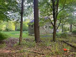 Cabin from the woods